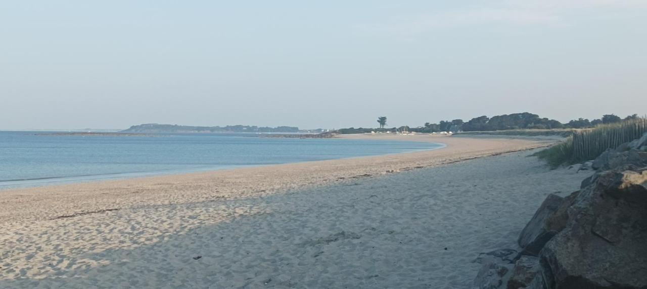 Appartement Vue Mer Exceptionnelle A 100M Tres Belle Plage 圣吉勒达德吕伊 外观 照片