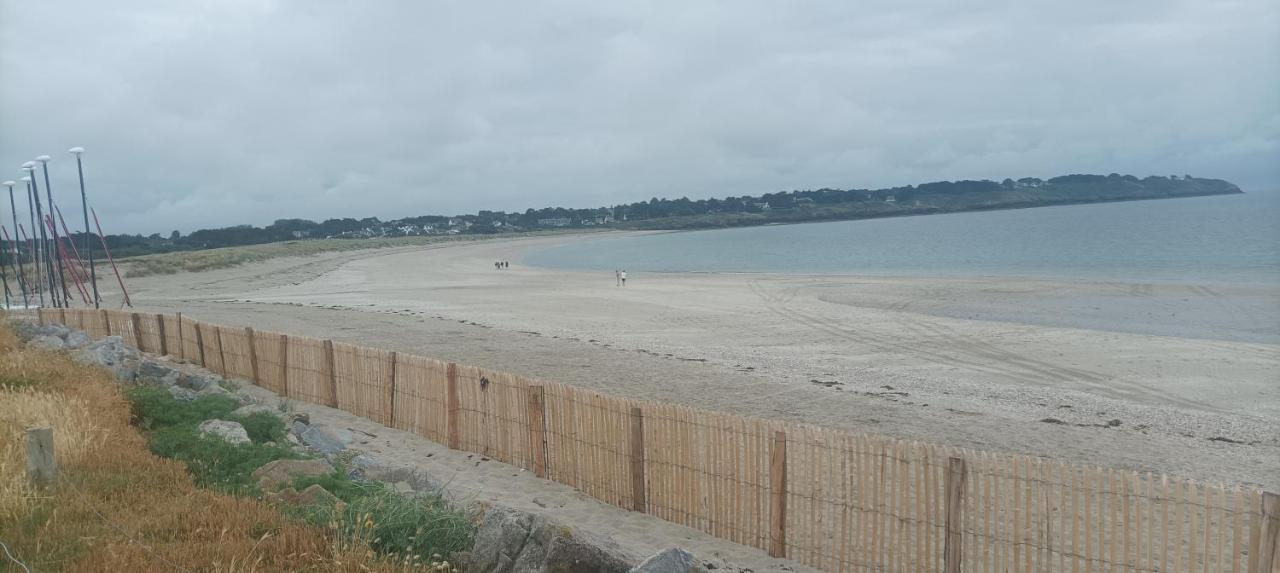 Appartement Vue Mer Exceptionnelle A 100M Tres Belle Plage 圣吉勒达德吕伊 外观 照片
